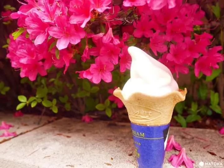 7-11与全家还不够满足！日本超有看头卖点的便利商店点点名