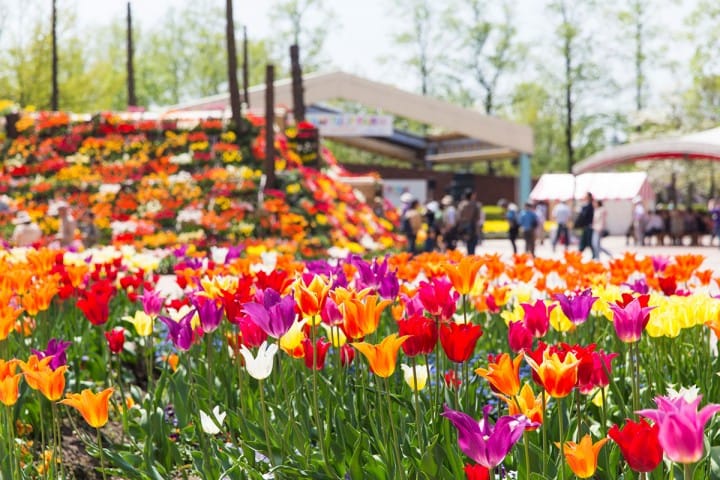 富山城公園