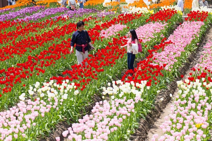 富山城公園