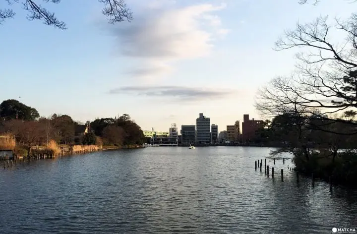 東京都心也能這麼悠哉！來「洗足池公園」走一圈當個偽在地人吧