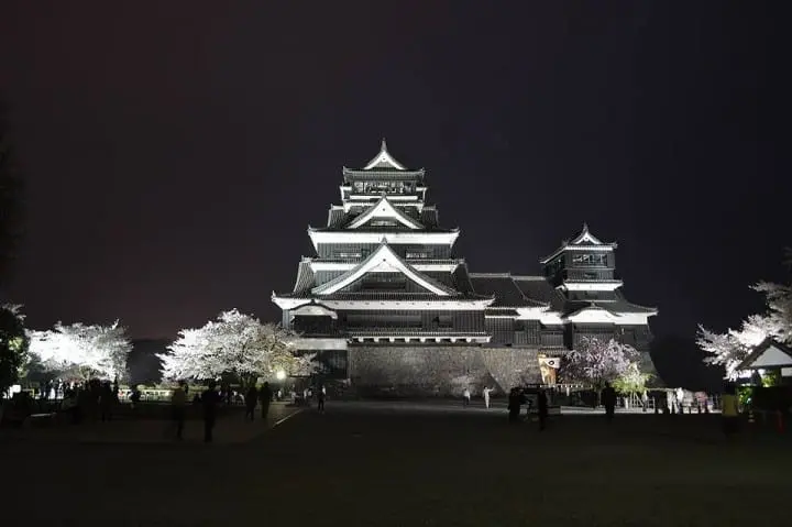 The Splendor Of Cherry Blossoms - As Seen By MATCHA's Readers