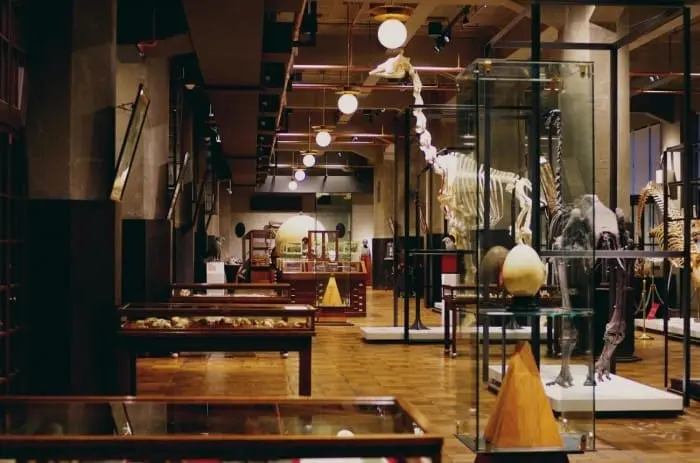 梅雨季也没问题！东京必去五大室内观光景点，雨天照样游东京