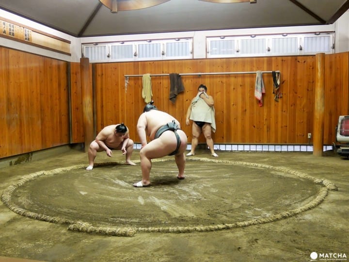 『東京新體驗』近距離感受肉貼肉的激烈碰撞,相撲晨練體驗