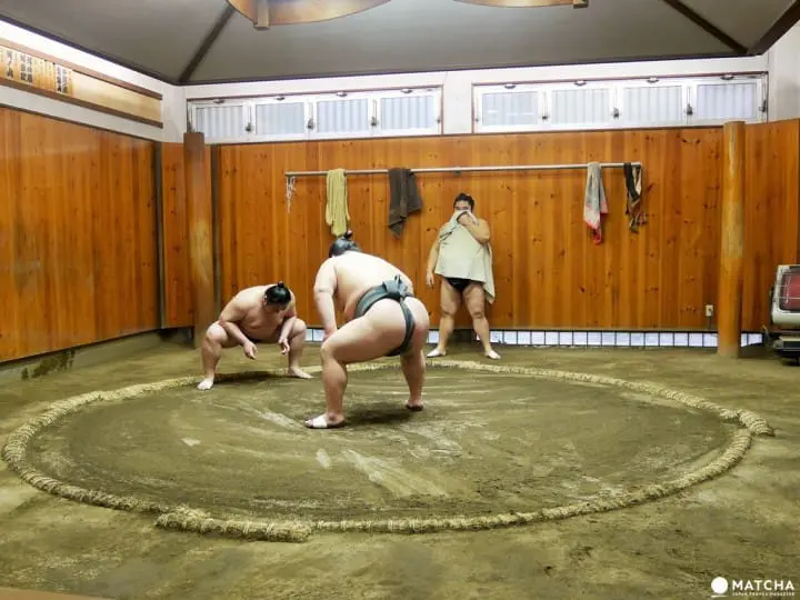 『東京新體驗』近距離感受肉貼肉的激烈碰撞，相撲晨練體驗