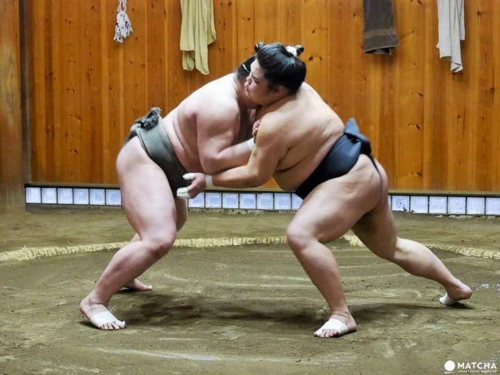 『東京新體驗』近距離感受肉貼肉的激烈碰撞,相撲晨練體驗