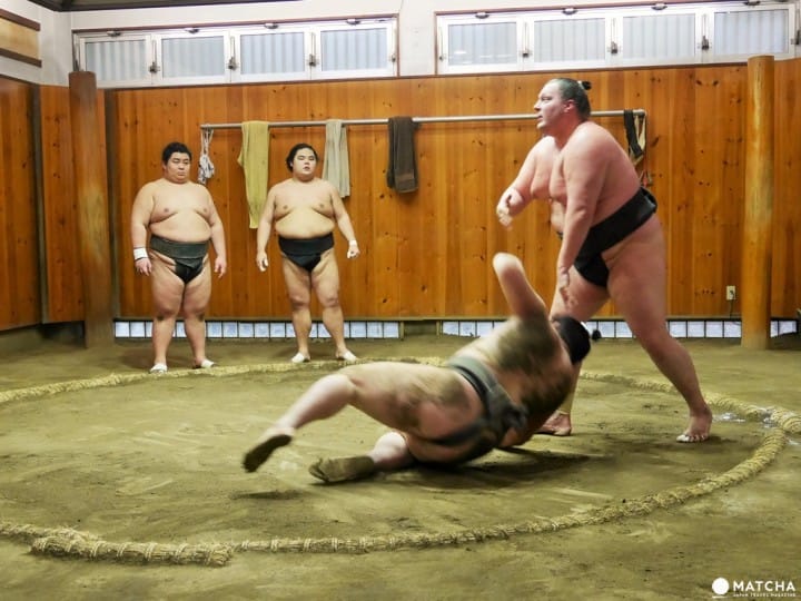『東京新體驗』近距離感受肉貼肉的激烈碰撞,相撲晨練體驗