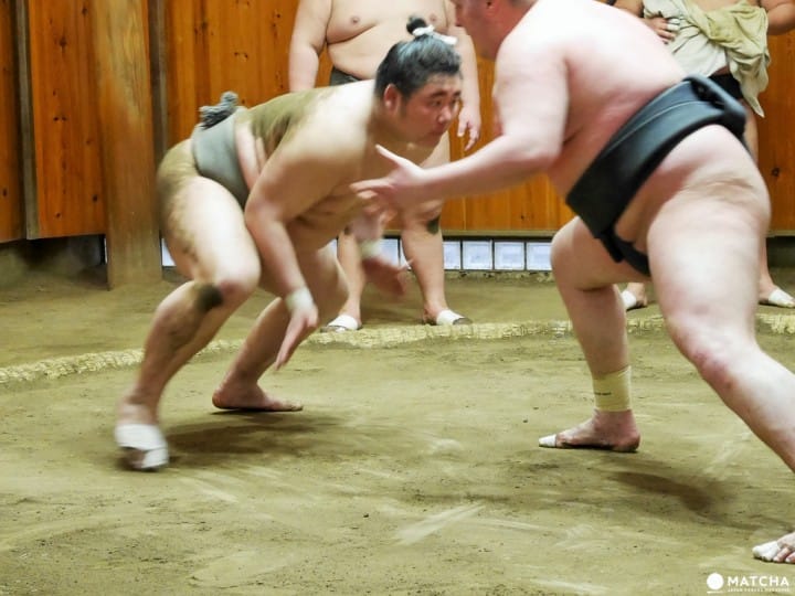 『東京新體驗』近距離感受肉貼肉的激烈碰撞,相撲晨練體驗