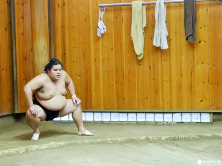 『東京新體驗』近距離感受肉貼肉的激烈碰撞，相撲晨練體驗