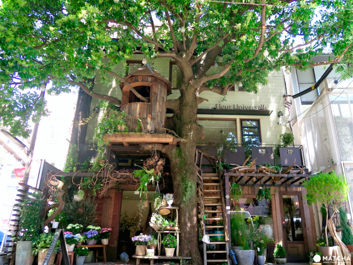 Les Grands Arbres