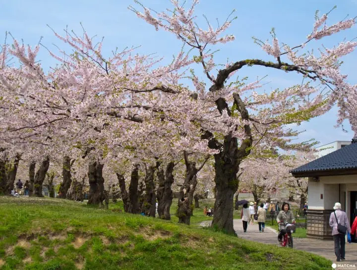 【北海道】函館完全手冊。氣溫、服裝、觀光景點20選
