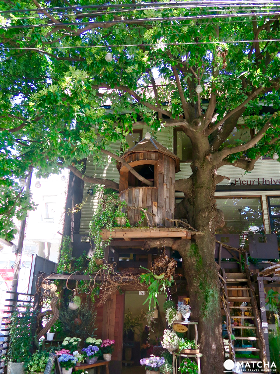 卡哇伊！喔伊細！讓你快門按不停的【東京甜點咖啡店5選】