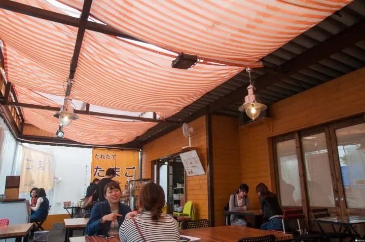 一切從幸福的雞蛋開始