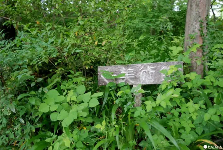 【京都】雨再大都不怕！精選8座博物館、美術館任你逛