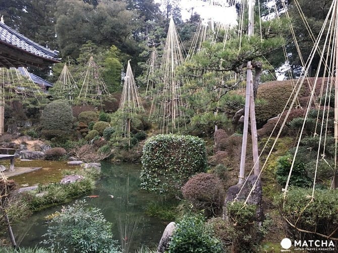 【福井輕旅行】三國老街散策,玩體驗,啖美食