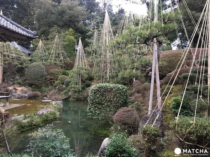 【福井轻旅行】三国老街散策，玩体验，啖美食