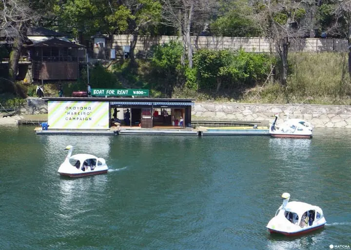 不可錯過的岡山新風貌！mt art project X 岡山城！