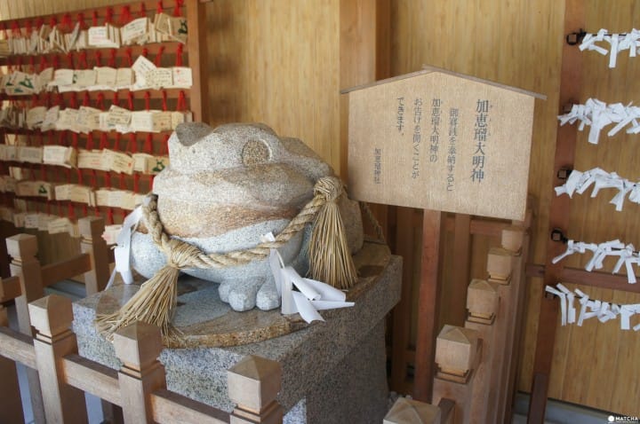 『岐阜』悠闲漫步日本三大名泉之一下吕温泉