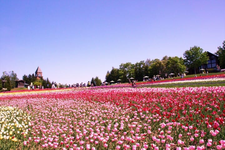 瀧野玲蘭丘陵公園