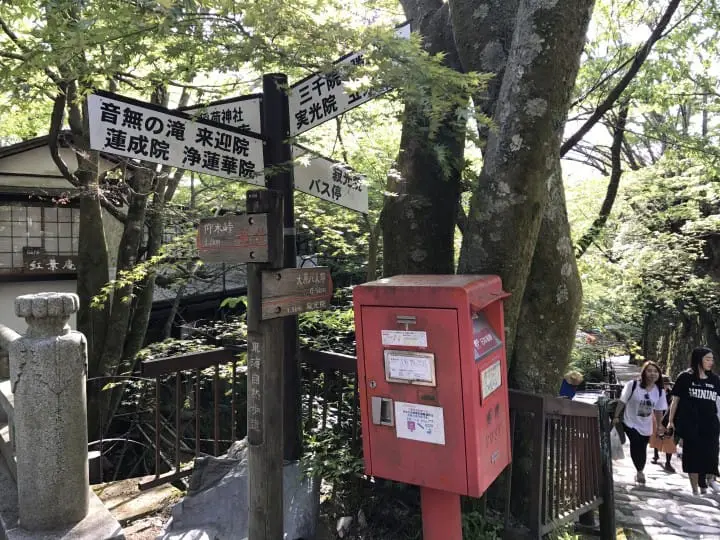 【京都】春夏交會之間 大原三千院的花景色
