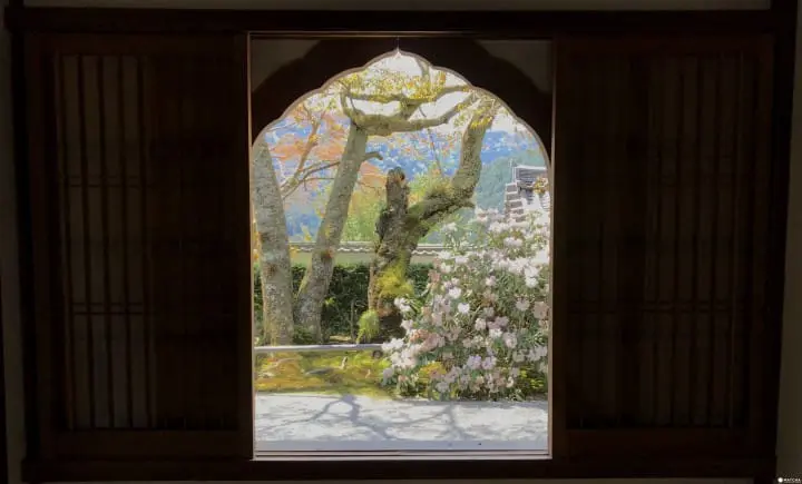 【京都】春夏交會之間 大原三千院的花景色