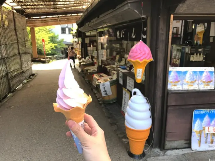 【京都】春夏交會之間 大原三千院的花景色