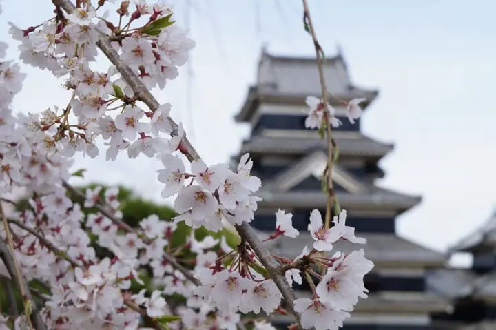 【長野県】日本最古の天守が残る松本城〜アクセス・見どころなど〜
