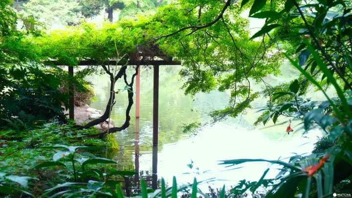 東京 跟著新海誠 言葉之庭 尋訪新宿御苑 Matcha 日本線上旅遊觀光雜誌