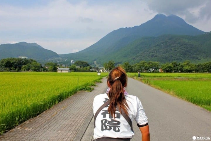大分県 おおいたけん 自然 しぜん もグルメも大満喫 だいまんきつ 何度 なんど も訪 おとず れたくなる温泉地 おんせんち 由布院 ゆふいん の楽 たの しみ方 かた 紹介 しょうかい Matcha やさしい日本語