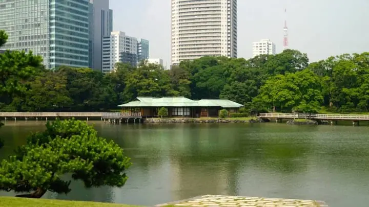 可免費參觀動物園和日本庭院的「都民之日」是什麼?