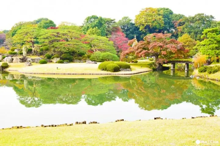 Tokyo Citizen's Day: Free Entrance to Zoos, Museums, and Gardens!