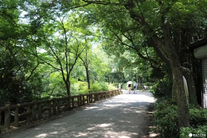 Tokyo Citizen's Day: Free Entrance to Zoos, Museums, and Gardens!