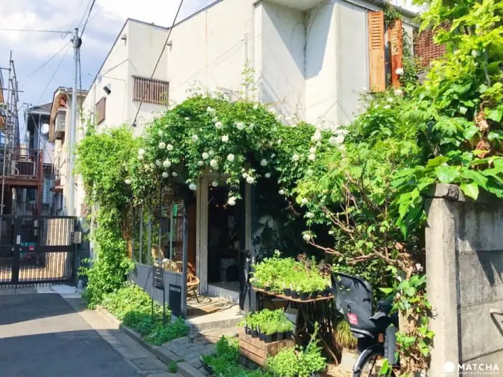 BROCANTE自由之丘