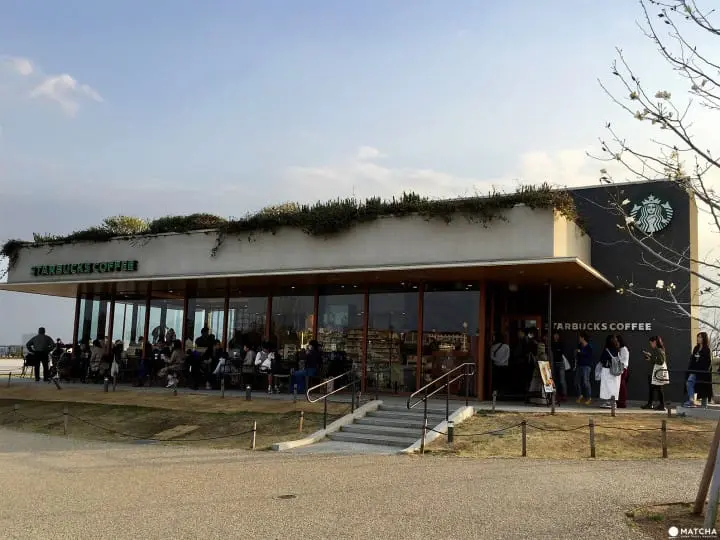 梅雨季的室內、戶外景點新提案！讓你下雨也能開心玩東京