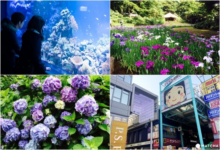 下雨天照樣出門!東京室內、戶外都能玩的梅雨季新提案!