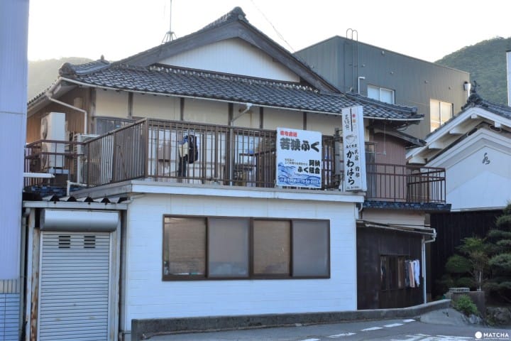 【福井小滨】亲子暑假轻松游!小渔村阿纳入住民宿“かわはら”,海洋钓鱼场“BLUE PARK阿纳”体验钓鱼趣