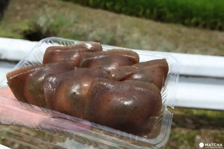 熊本縣導覽保存版。交通、27個觀光景點、美食、祭典一次掌握