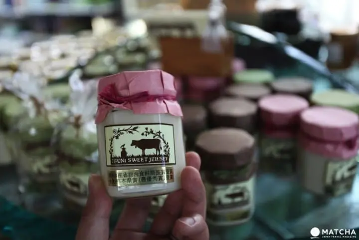 熊本縣導覽保存版。交通、27個觀光景點、美食、祭典一次掌握