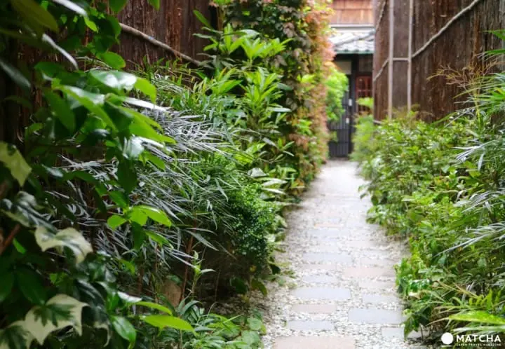 築100年を超える京町家でゆったりと暮らすネコたち＠キャットアパートメントコーヒー