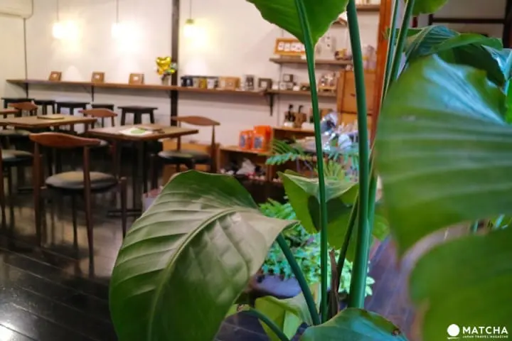 築100年を超える京町家でゆったりと暮らすネコたち＠キャットアパートメントコーヒー