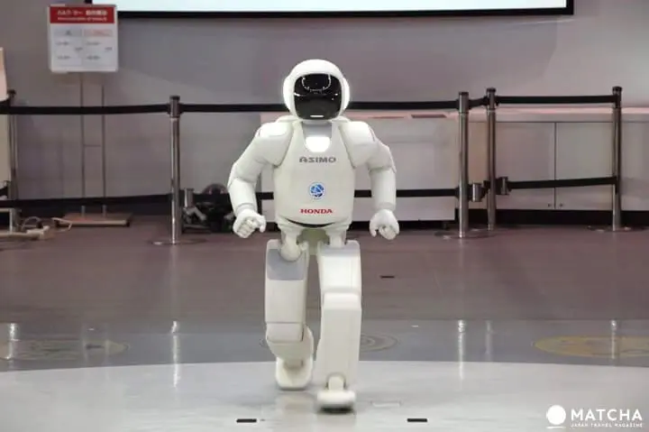 都内の動物園・博物館・公園が無料になる！お得な無料開放日カレンダー