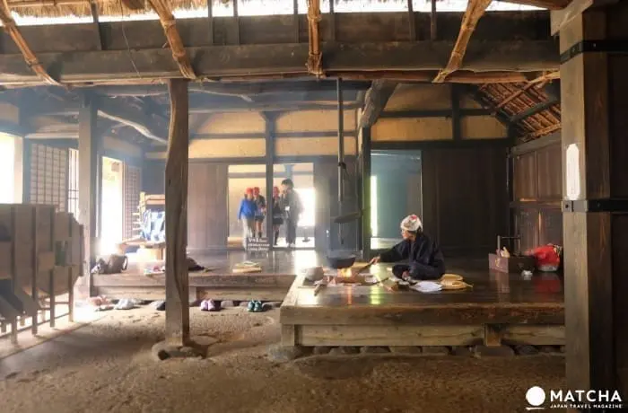 都内の動物園・博物館・公園が無料になる！お得な無料開放日カレンダー