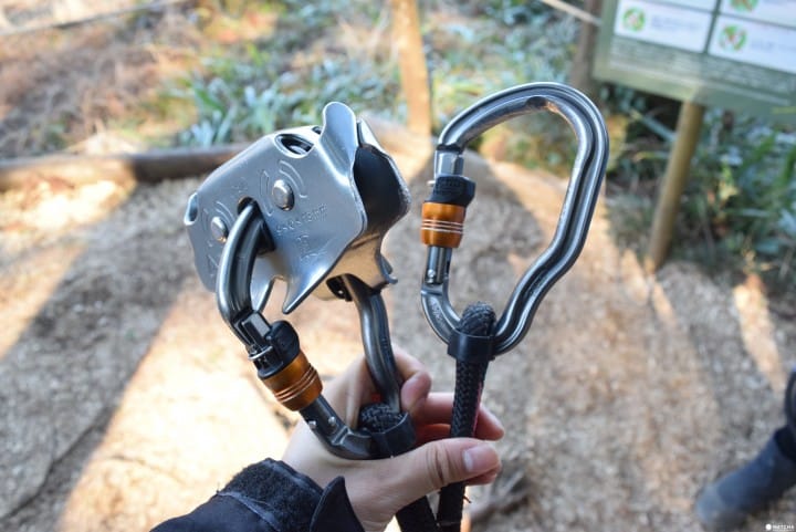 日本の森で冒険しよう!フォレストアドベンチャー小田原