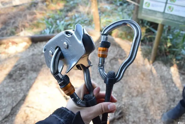 日本の森で冒険しよう！フォレストアドベンチャー小田原