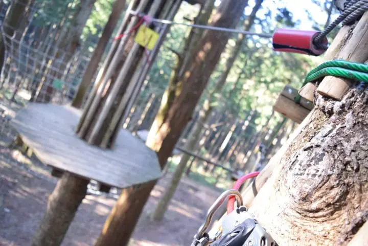 日本の森で冒険しよう！フォレストアドベンチャー小田原