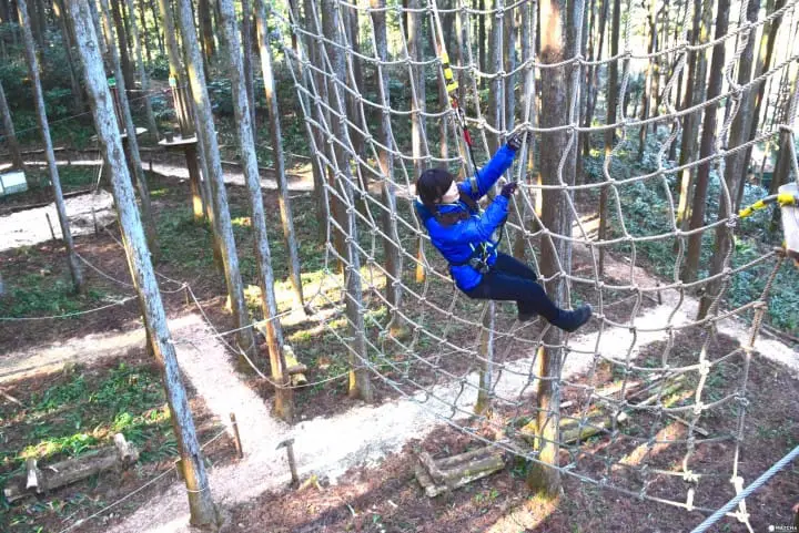 樹齢300年の杉の木が点在する森林で大冒険！　フォレストアドベンチャー小田原