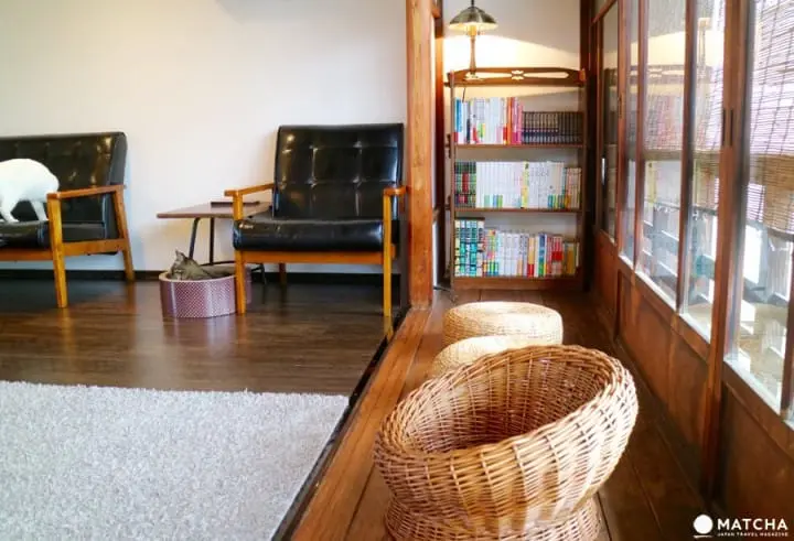 築100年を超える京町家でゆったりと暮らすネコたち＠キャットアパートメントコーヒー