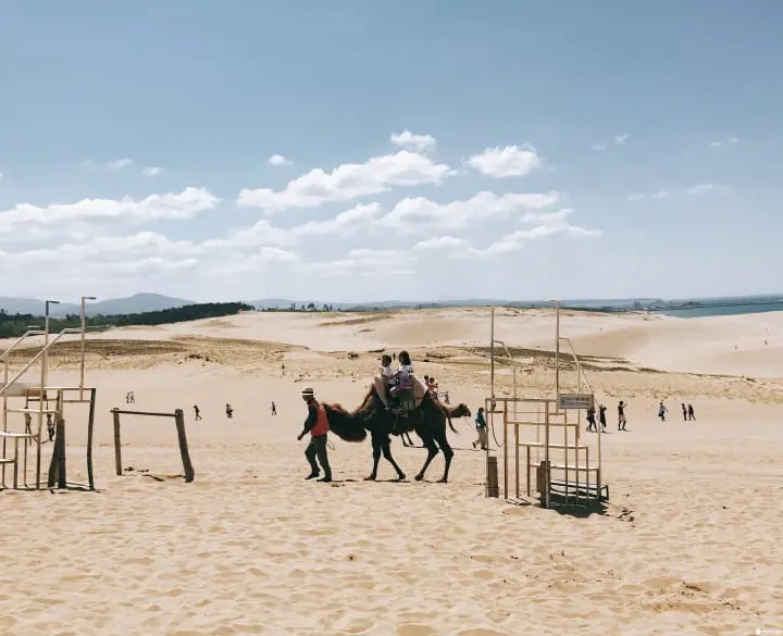 「山陰滿喫PASS兩日卷」划算玩遍鳥取島根山陰地區