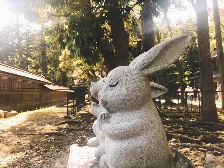 「山陰滿喫PASS兩日卷」划算玩遍鳥取島根山陰地區