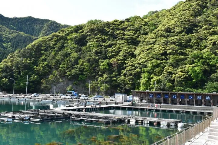 【福井小濱】暑假親子遊！小漁村阿納入住民宿かわはら，海洋釣魚場BLUE PARK阿納體驗釣魚趣