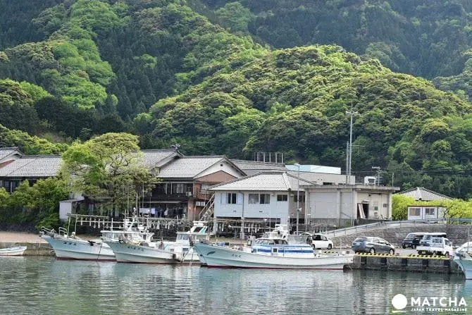 【福井小濱】暑假親子遊！小漁村阿納入住民宿かわはら，海洋釣魚場BLUE PARK阿納體驗釣魚趣